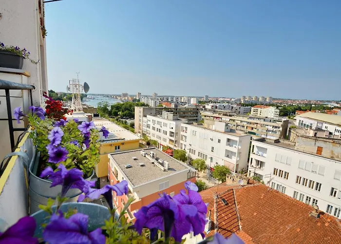 Charming Apartment N - Experience Zadar Your Way